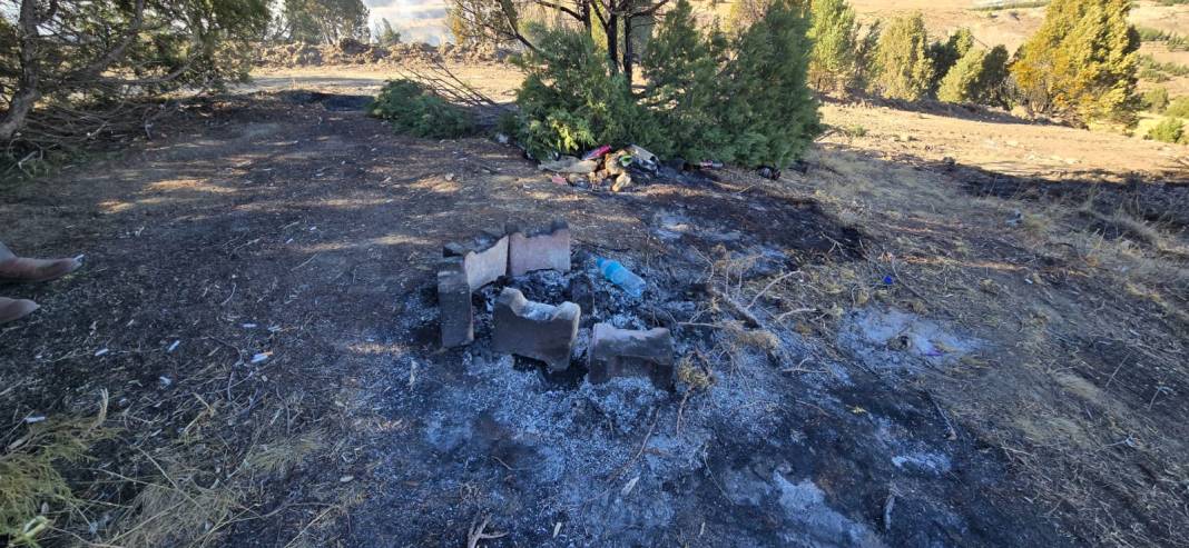 Konya’da piknikçi ateşi ormanı yaktı 10